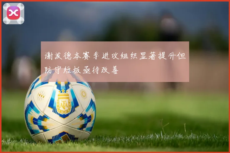 谢泼德本赛季进攻组织显著提升但防守短板亟待改善