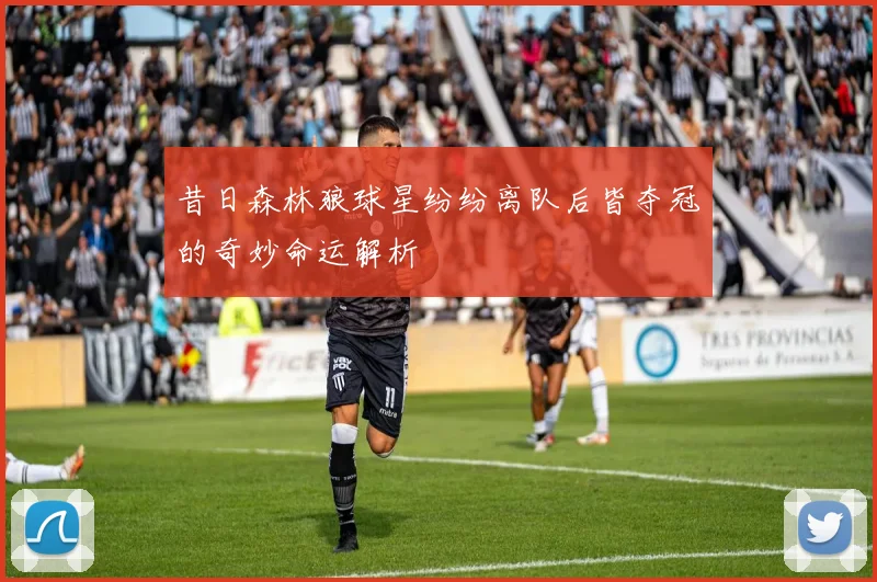 昔日森林狼球星纷纷离队后皆夺冠的奇妙命运解析